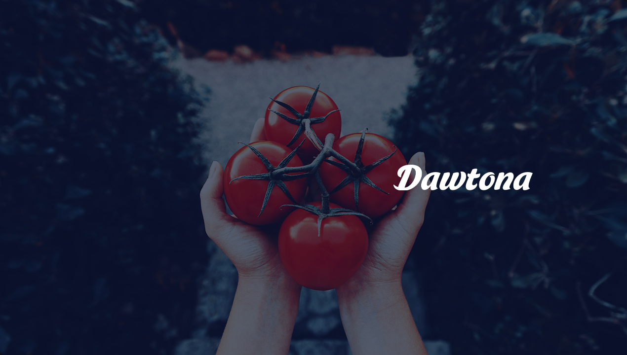 RL Media takes over Dawtona's media budget